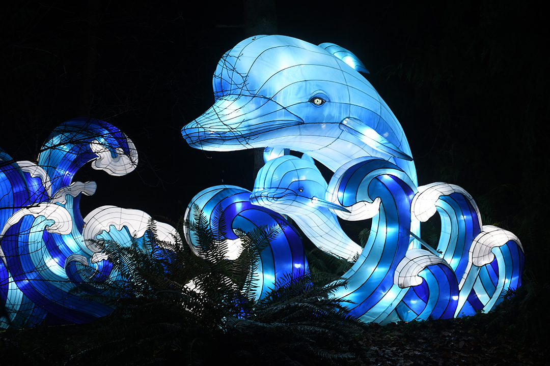 WildLanterns Dazzles at Seattle’s Woodland Park Zoo ParentMap